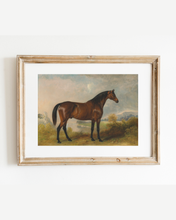 Load image into Gallery viewer, Bay Horse in a Field Antique Art Print: 8x10