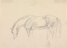 Load image into Gallery viewer, A Horse Grazing Sketch Antique Art Print: 8x10