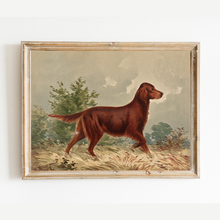 Load image into Gallery viewer, Flatcoated Retriever Antique Art Print: 5x7