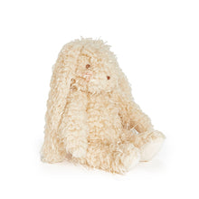 Load image into Gallery viewer, Harey the Bunny Stuffed Animal