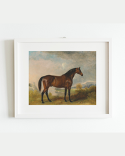 Load image into Gallery viewer, Bay Horse in a Field Antique Art Print: 8x10