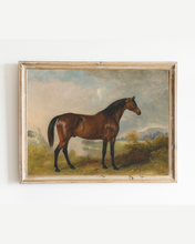 Load image into Gallery viewer, Bay Horse in a Field Antique Art Print: 8x10