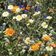 Load image into Gallery viewer, Wildflowers, Annual Garden Seed Packets