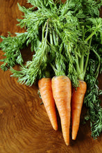 Load image into Gallery viewer, Carrot, Half Long Heirloom Garden Seed Packets