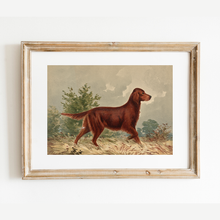 Load image into Gallery viewer, Flatcoated Retriever Antique Art Print: 5x7