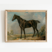 Load image into Gallery viewer, Black Riding Horse Antique Art Print