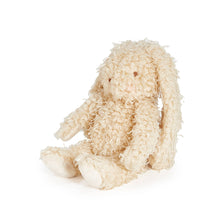 Load image into Gallery viewer, Harey the Bunny Stuffed Animal