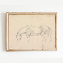 Load image into Gallery viewer, A Horse Grazing Sketch Antique Art Print: 8x10