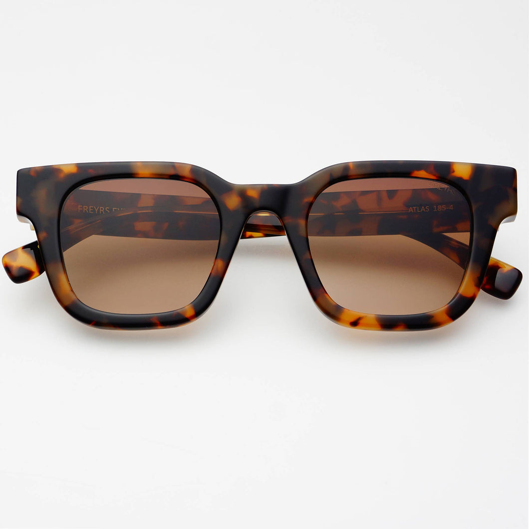 FREYRS Eyewear - Atlas Acetate Rectangular Sunglasses : Tortoise / Brown