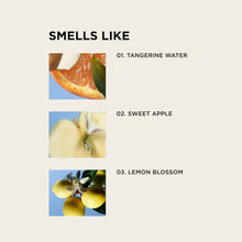 Load image into Gallery viewer, BIRTHDAY SUIT body + hair perfume mist
