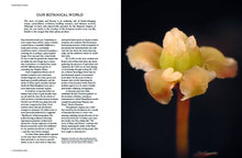 Load image into Gallery viewer, Botanical Bible
