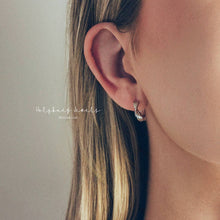 Load image into Gallery viewer, Twisted Hoop Earrings
