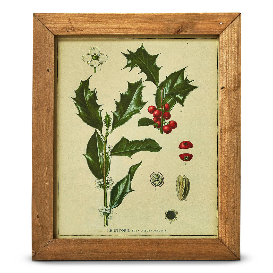 Holly Berry Vintage Botanical Wall Art