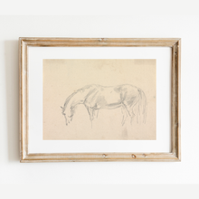 Load image into Gallery viewer, A Horse Grazing Sketch Antique Art Print: 8x10
