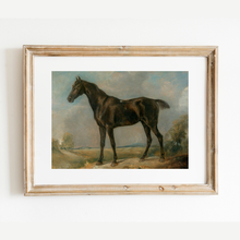 Load image into Gallery viewer, Black Riding Horse Antique Art Print
