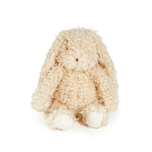 Load image into Gallery viewer, Harey the Bunny Stuffed Animal

