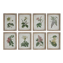 Load image into Gallery viewer, Botanical Wall Decor
