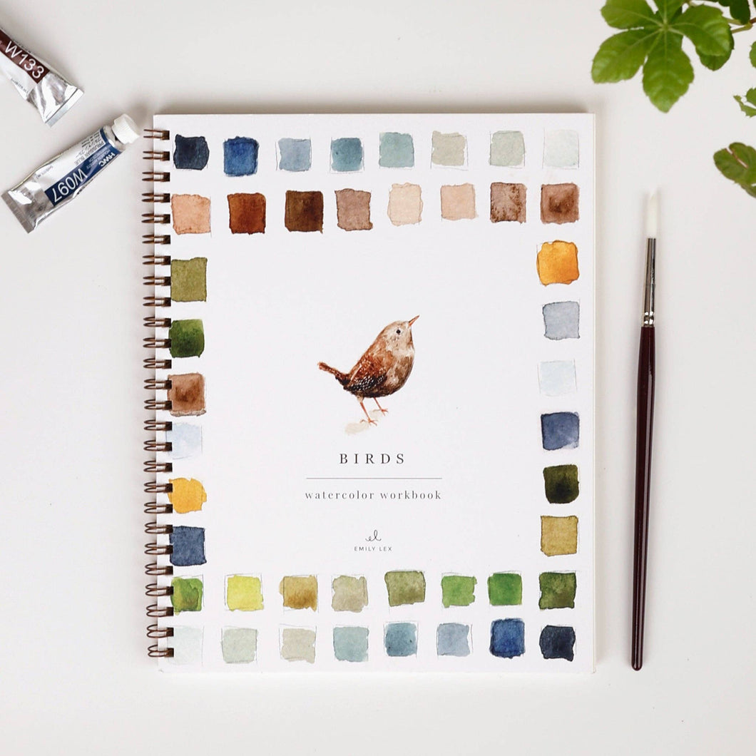 Birds Water Color Workbook