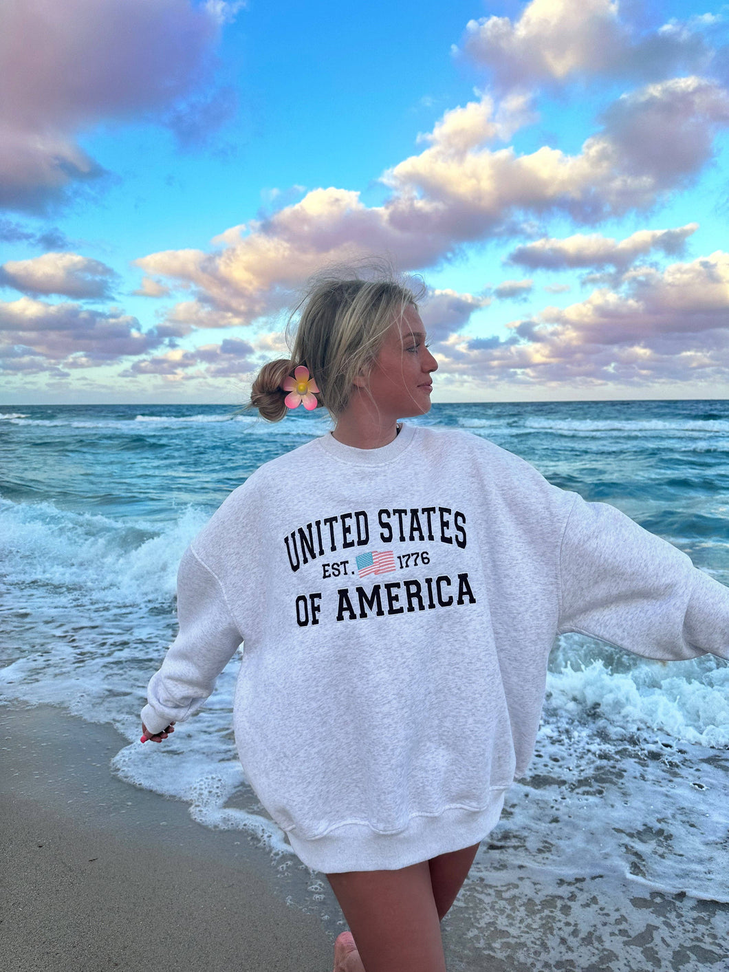 Sunkissed Coconut - UNITED STATES OF AMERICA EMBROIDER FLAG SWEATSHIRT: Small / PEARL GRAY